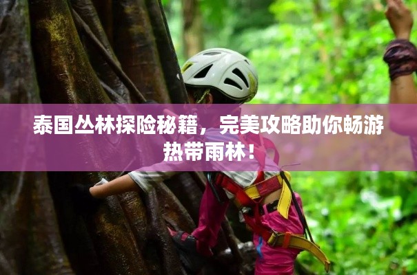 泰國(guó)叢林探險(xiǎn)秘籍，完美攻略助你暢游熱帶雨林！