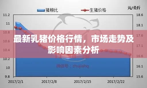 最新乳豬價格行情，市場走勢及影響因素分析