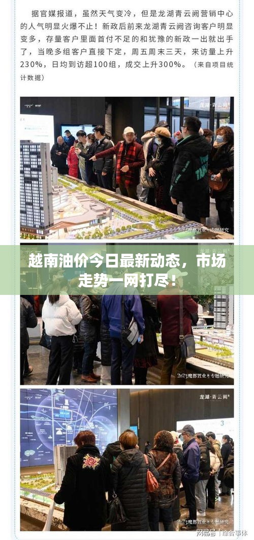 越南油價今日最新動態(tài)，市場走勢一網(wǎng)打盡！