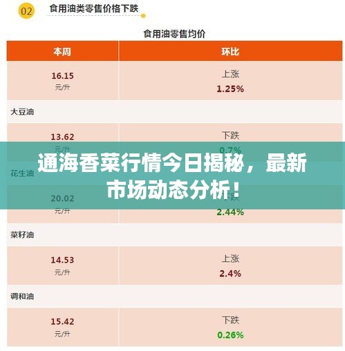 通海香菜行情今日揭秘，最新市場動(dòng)態(tài)分析！