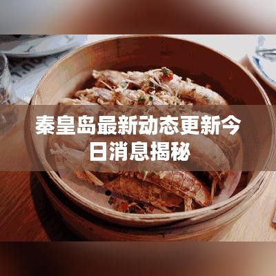 秦皇島最新動態(tài)更新今日消息揭秘