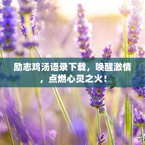 勵志雞湯語錄下載，喚醒激情，點燃心靈之火！