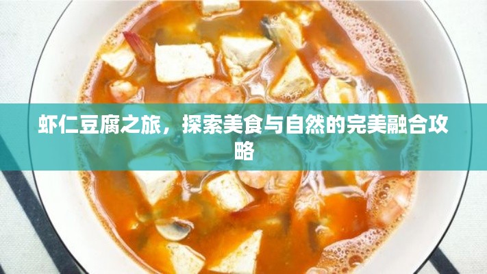蝦仁豆腐之旅，探索美食與自然的完美融合攻略