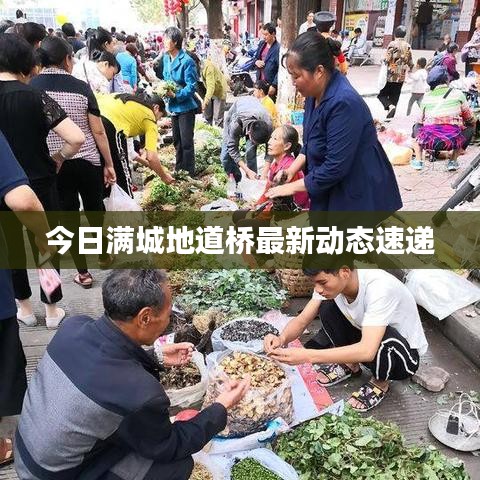 今日滿城地道橋最新動態(tài)速遞