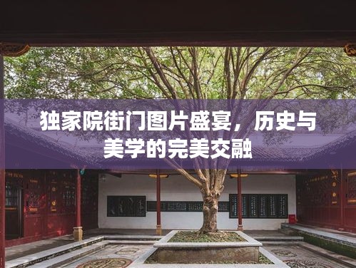 獨(dú)家院街門(mén)圖片盛宴，歷史與美學(xué)的完美交融