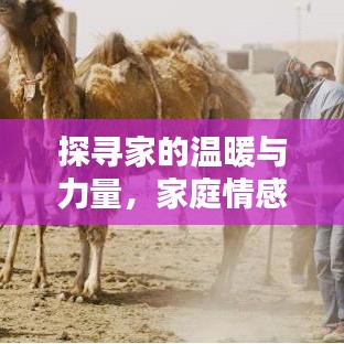 探尋家的溫暖與力量，家庭情感專題紀錄片欣賞