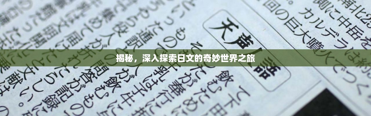 揭秘，深入探索日文的奇妙世界之旅