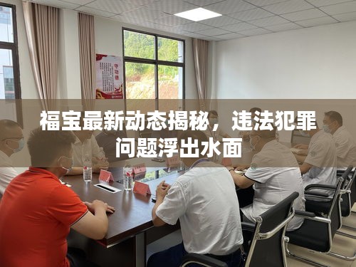 福寶最新動(dòng)態(tài)揭秘，違法犯罪問(wèn)題浮出水面