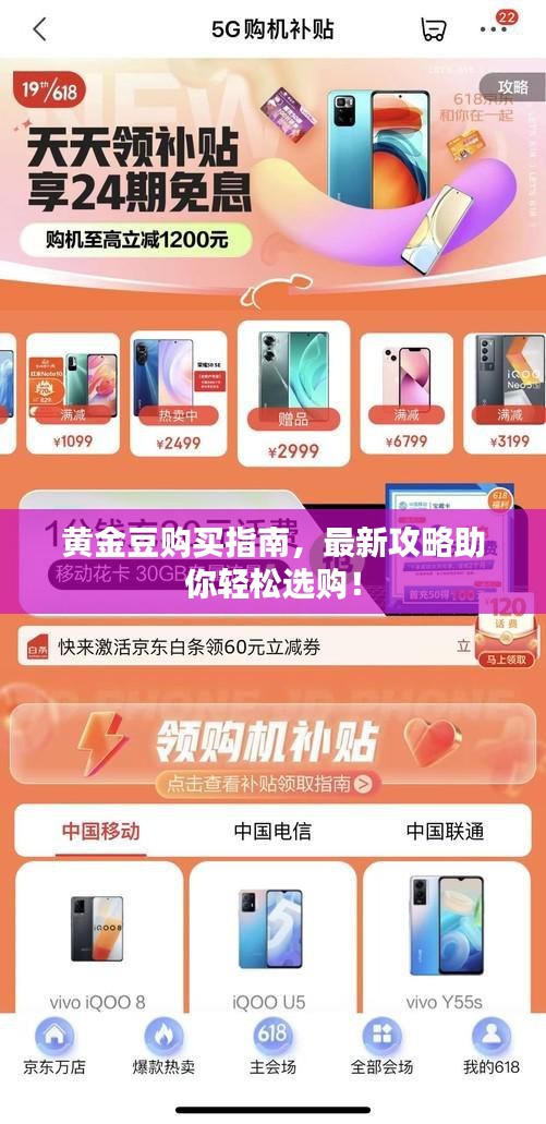 黃金豆購買指南，最新攻略助你輕松選購！