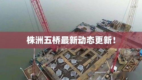 株洲五橋最新動態(tài)更新！