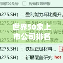 世界50家上市公司排名大揭秘，影響力深度解析