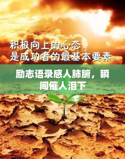 勵(lì)志語錄感人肺腑，瞬間催人淚下