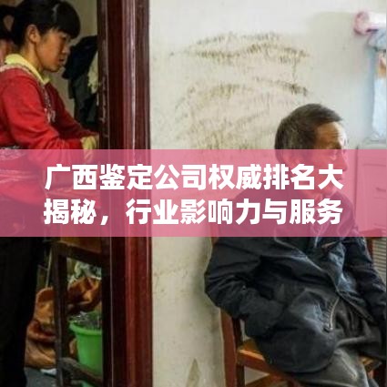 廣西鑒定公司權威排名大揭秘，行業(yè)影響力與服務質量評估