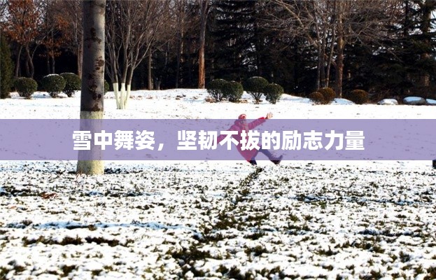 雪中舞姿，堅(jiān)韌不拔的勵(lì)志力量