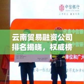 云南貿(mào)易融資公司排名揭曉，權(quán)威榜單，不容錯過！
