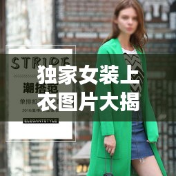 獨(dú)家女裝上衣圖片大揭秘，引領(lǐng)女裝新風(fēng)尚的魅力探索