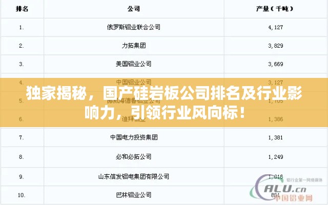 獨家揭秘，國產(chǎn)硅巖板公司排名及行業(yè)影響力，引領(lǐng)行業(yè)風(fēng)向標(biāo)！