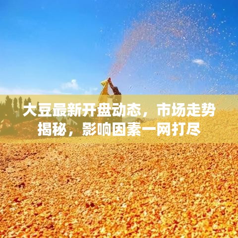 大豆最新開盤動態(tài)，市場走勢揭秘，影響因素一網(wǎng)打盡