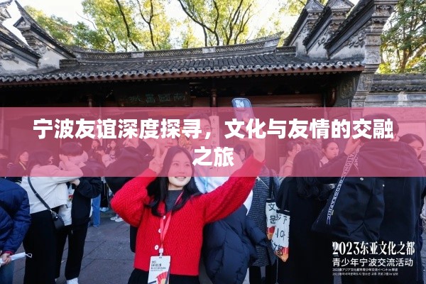 寧波友誼深度探尋，文化與友情的交融之旅