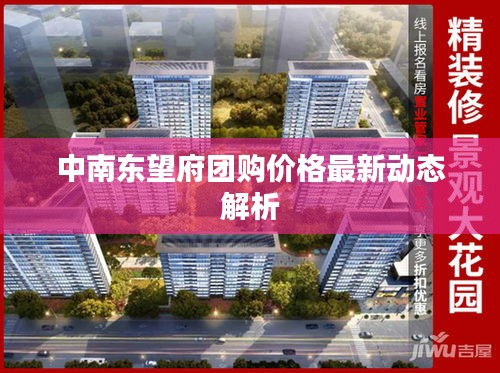 中南東望府團(tuán)購(gòu)價(jià)格最新動(dòng)態(tài)解析