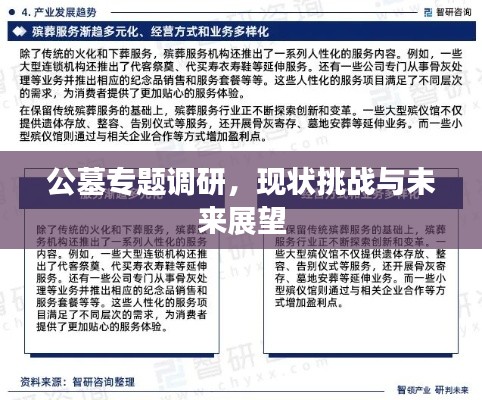 公墓專題調(diào)研，現(xiàn)狀挑戰(zhàn)與未來展望