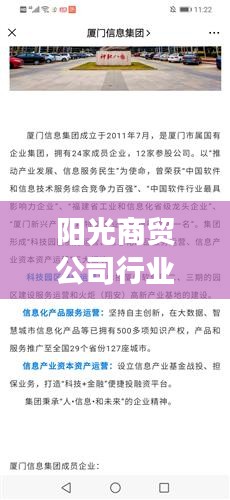 陽光商貿(mào)公司行業(yè)排名背后的成功秘訣大揭秘！