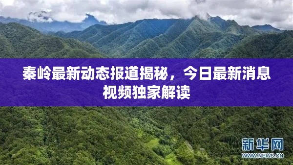 秦嶺最新動態(tài)報道揭秘，今日最新消息視頻獨家解讀