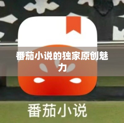 番茄小說(shuō)的獨(dú)家原創(chuàng)魅力