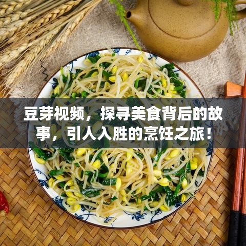 豆芽視頻，探尋美食背后的故事，引人入勝的烹飪之旅！