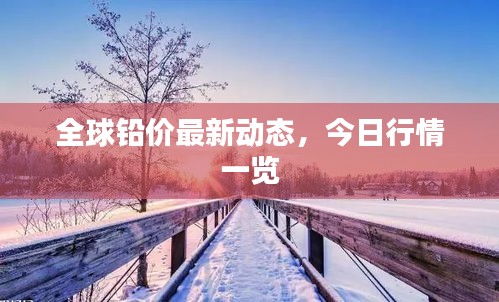 全球鉛價(jià)最新動(dòng)態(tài)，今日行情一覽