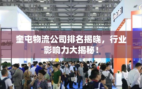 奎屯物流公司排名揭曉，行業(yè)影響力大揭秘！
