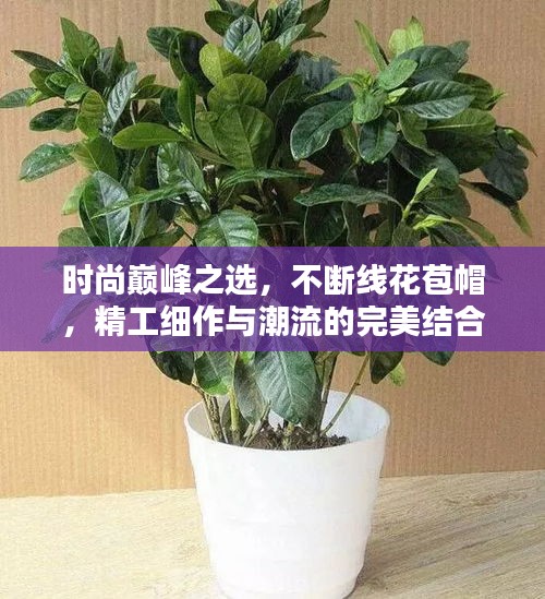 時尚巔峰之選，不斷線花苞帽，精工細作與潮流的完美結(jié)合