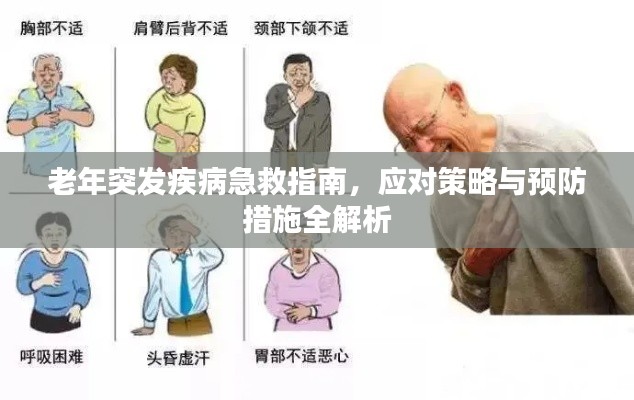 老年突發(fā)疾病急救指南，應(yīng)對(duì)策略與預(yù)防措施全解析