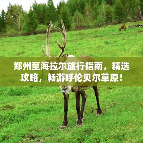 鄭州至海拉爾旅行指南，精選攻略，暢游呼倫貝爾草原！