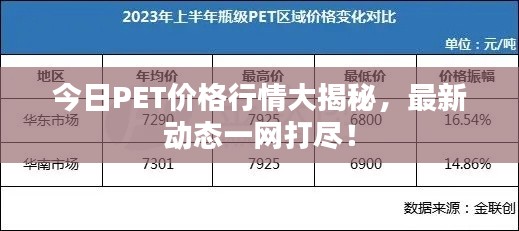 今日PET價格行情大揭秘，最新動態(tài)一網(wǎng)打盡！