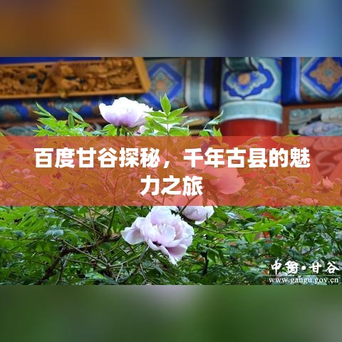 百度甘谷探秘，千年古縣的魅力之旅