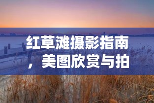 紅草灘攝影指南，美圖欣賞與拍照攻略