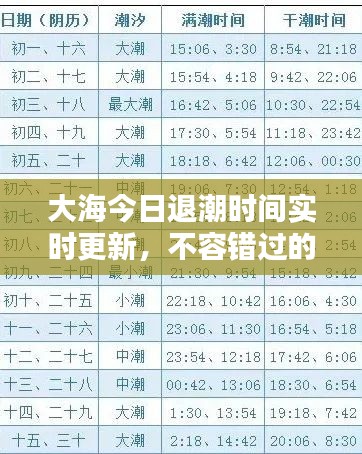大海今日退潮時間實時更新，不容錯過的最新潮汐動態(tài)