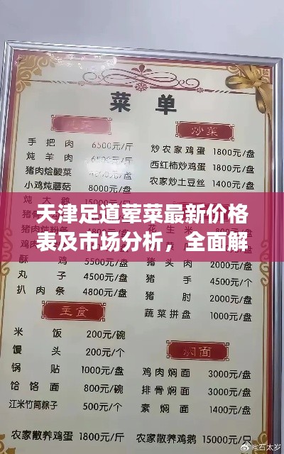 天津足道葷菜最新價格表及市場分析，全面解讀市場趨勢