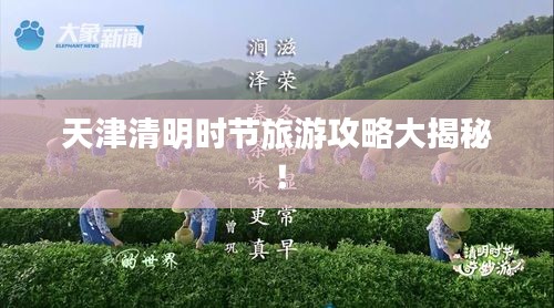 天津清明時節(jié)旅游攻略大揭秘！