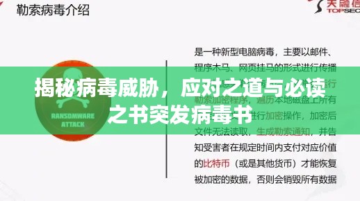 揭秘病毒威脅，應(yīng)對(duì)之道與必讀之書突發(fā)病毒書
