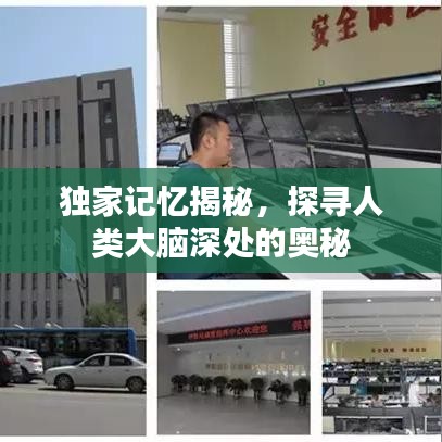 獨家記憶揭秘，探尋人類大腦深處的奧秘