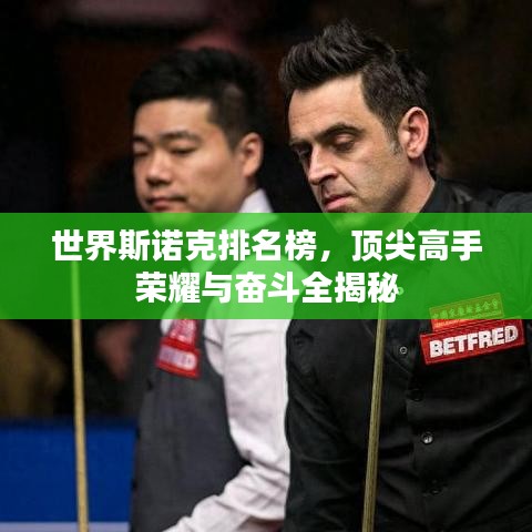 世界斯諾克排名榜，頂尖高手榮耀與奮斗全揭秘