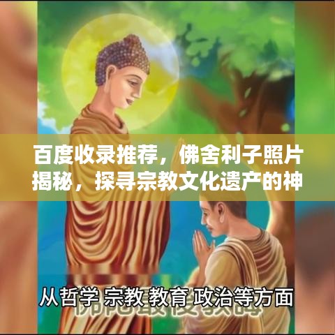百度收錄推薦，佛舍利子照片揭秘，探尋宗教文化遺產(chǎn)的神秘面紗