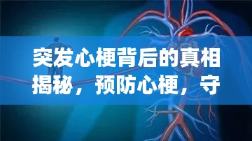 突發(fā)心梗背后的真相揭秘，預防心梗，守護心血管健康之道