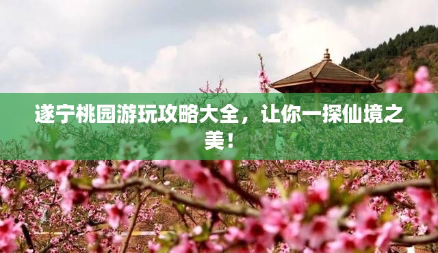 遂寧桃園游玩攻略大全，讓你一探仙境之美！
