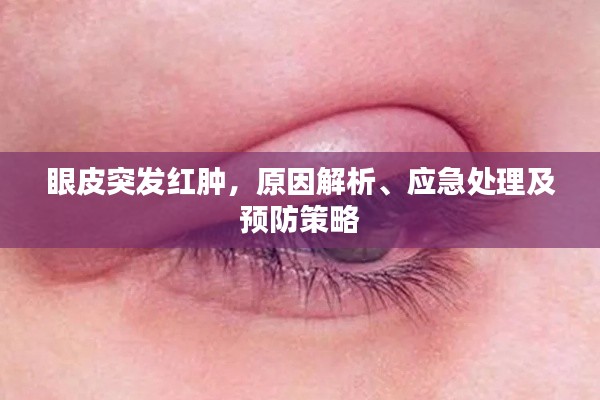 眼皮突發(fā)紅腫，原因解析、應急處理及預防策略