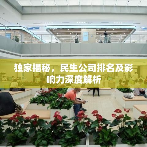 獨家揭秘，民生公司排名及影響力深度解析