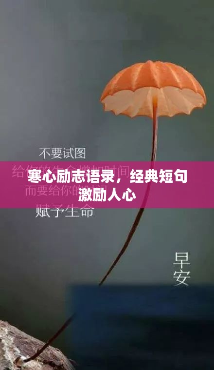 寒心勵志語錄，經(jīng)典短句激勵人心