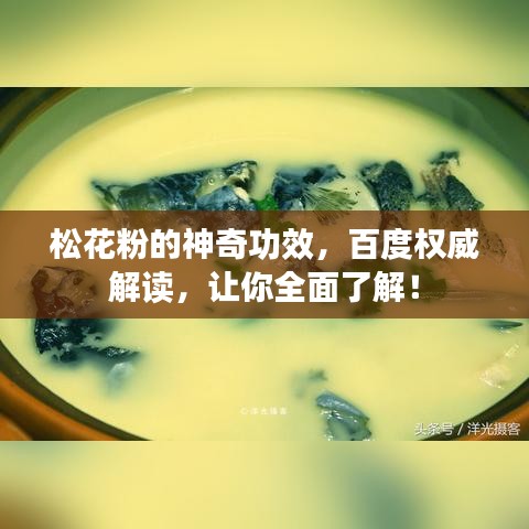 松花粉的神奇功效，百度權(quán)威解讀，讓你全面了解！